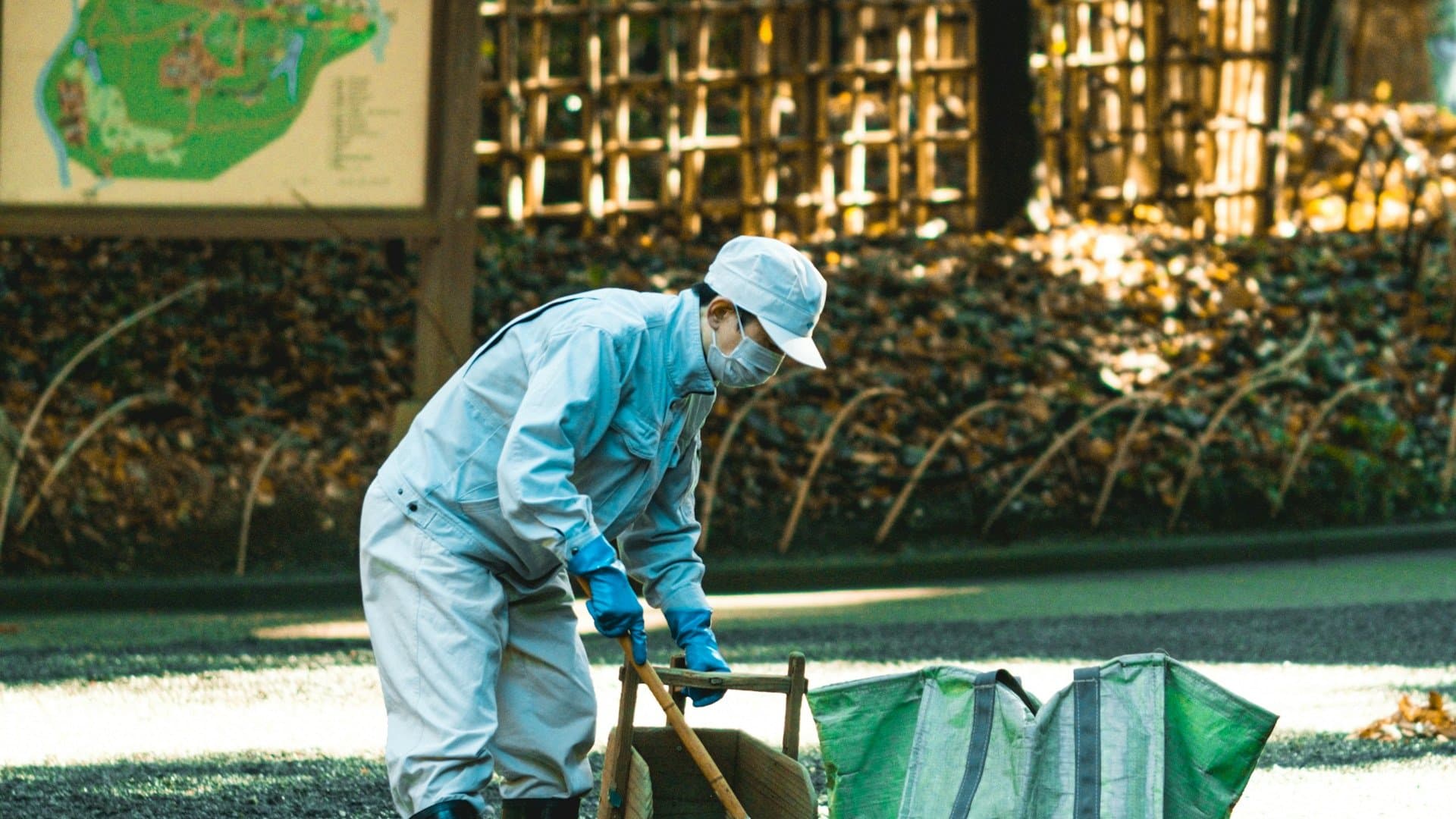 Contaminated Soil Removal